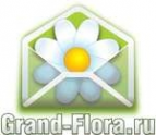 Логотип компании Доставка цветов Гранд Флора (ф-л г.Шелехов)